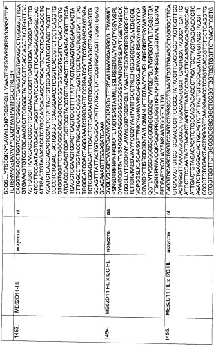 Pscaxcd3, cd19xcd3, c-metxcd3, эндосиалинxcd3, epcamxcd3, igf-1rxcd3 или fap-альфаxcd3 биспецифическое одноцепочечное антитело с межвидовой специфичностью (патент 2547600)