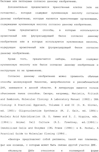 Новые флуоресцирующие белки aequorea coerulscens и способы их применения (патент 2330886)