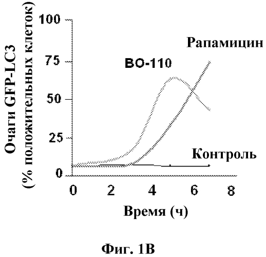 Способ идентификации соединений для лечения рака (патент 2575828)