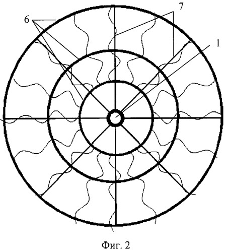 Способ формирования ствола и структуры кроны древовидного виноградника (вариант русской логики - версия 1) (патент 2477603)