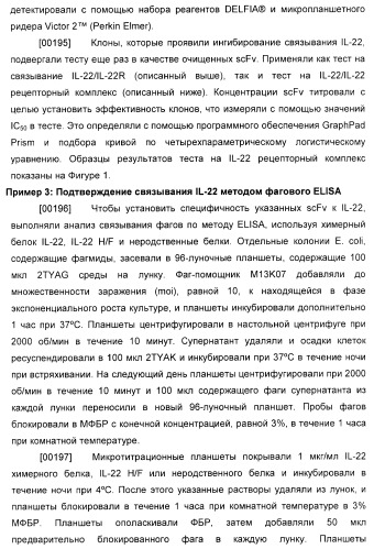 Антитела к il-22 человека и их применение (патент 2467016)