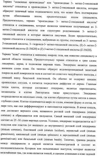 Микроорганизмы, ингибирующие образование неприятного подмышечного запаха (патент 2459864)