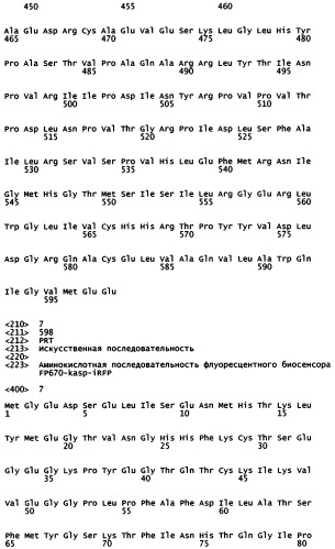 Нуклеиновая кислота, кодирующая основанный на fret дальне-красный биосенсор для измерения активности каспазы 3 внутри клеток (патент 2535981)