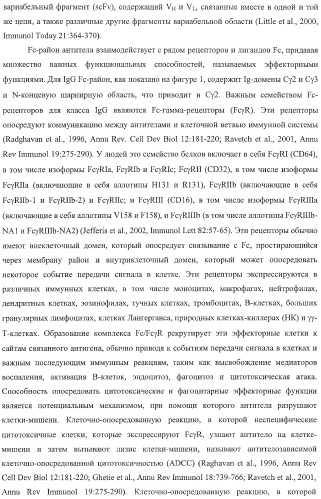 Антитело, содержащее fc-вариантную часть (варианты), фармацевтическая композиция, содержащая антитело, и способ лечения млекопитающего (патент 2390527)
