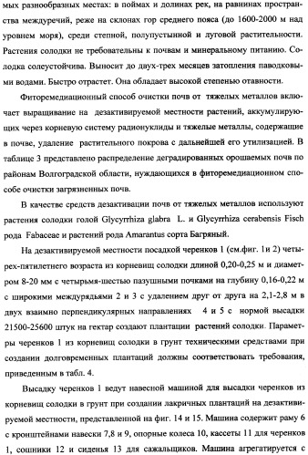 Фиторемедиационный способ очистки почв от тяжелых металлов (патент 2359444)