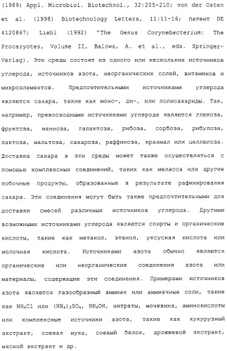Гены corynebacterium glutamicum, кодирующие белки метаболических путей (патент 2306339)