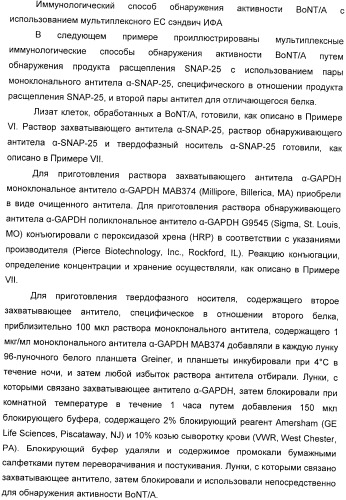 Иммунологические анализы активности ботулинического токсина серотипа а (патент 2491293)