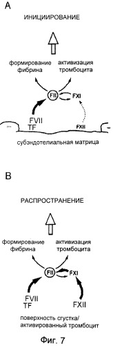 Предотвращение образования и/или стабилизации тромбов (патент 2514878)