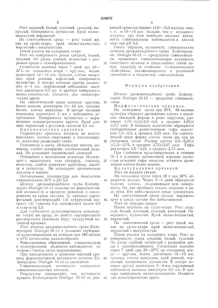 Штамм дрожжеподобного гриба -55-13 продуцент глюкоамилазы (патент 539072)