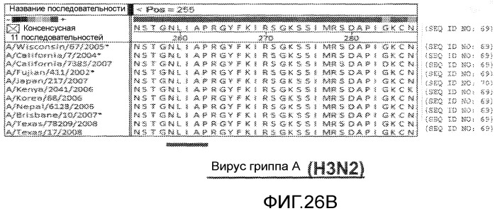 Иммуногенные композиции и способы (патент 2468034)