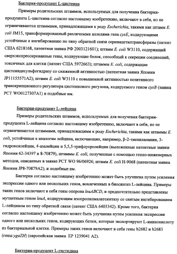 Способ получения l-треонина с использованием бактерии, принадлежащей к роду escherichia, в которой инактивирован ген fhua (патент 2333955)