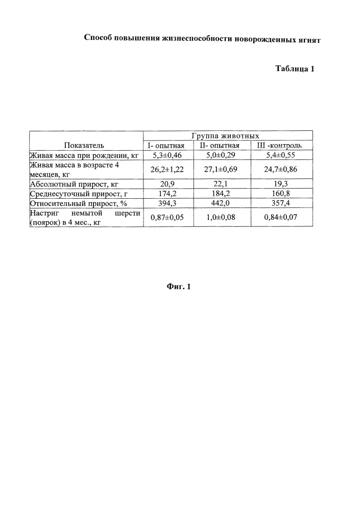 Способ повышения жизнеспособности новорожденных ягнят (патент 2621839)