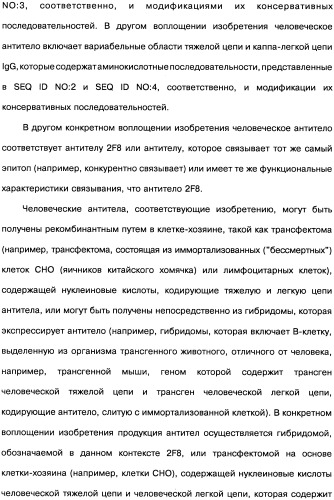 Человеческие моноклональные антитела к рецептору эпидермального фактора роста (egfr), способ их получения и их использование, гибридома, трансфектома, трансгенное животное, экспрессионный вектор (патент 2335507)