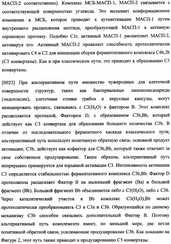 Иммуногенная композиция и способ разработки вакцины, основанной на участках связывания фактора н (патент 2364413)