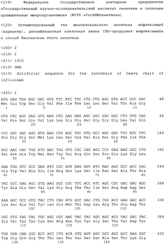 Оптимизированный ген моноклонального антитела инфликсимаб (варианты), рекомбинантная клеточная линия-продуцент этого антитела и способ его биосинтеза (патент 2549692)