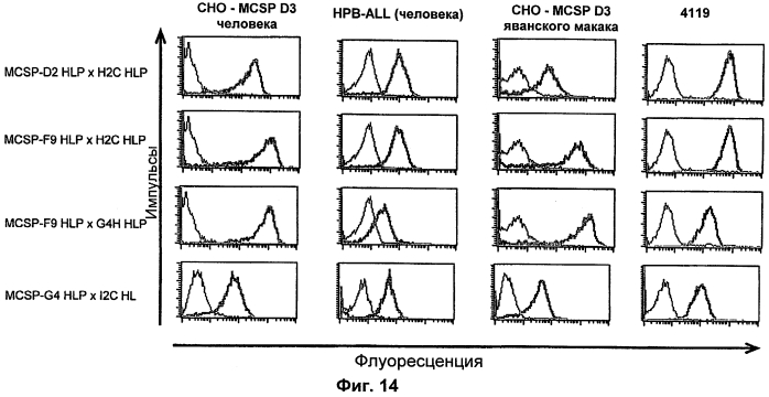 Cd3-эпсилон-связывающий домен с межвидовой специфичностью (патент 2561457)