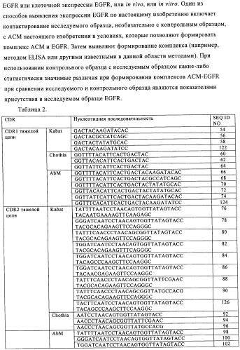 Антигенсвязывающие молекулы, которые связывают рецептор эпидермального фактора роста (egfr), кодирующие их векторы и их применение (патент 2457219)