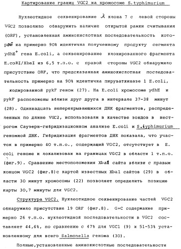 Vgc2 днк salmonella typhimurium, мутантная бактерия, обладающая пониженной способностью к адаптации к условиям окружающей среды, и способ ее получения (патент 2370541)