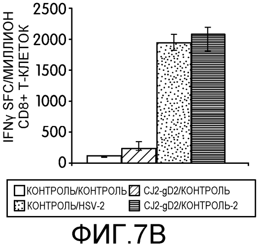 Вакцины против вируса простого герпеса (патент 2575067)