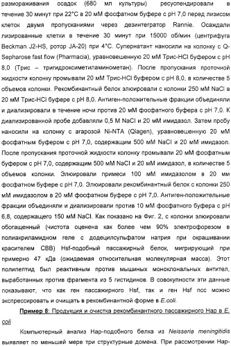 Нейссериальные вакцинные композиции, содержащие комбинацию антигенов (патент 2317106)