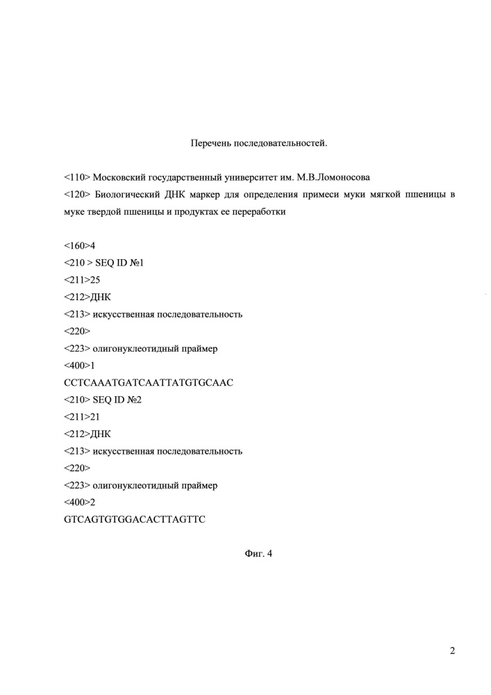 Биологический днк-маркер для определения примеси муки мягкой пшеницы в муке твердой пшеницы и продуктах ее переработки (патент 2615449)