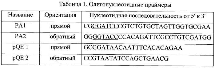 Рекомбинантный полипептид а2, селективно связывающий hsa, рекомбинантная днк pa2, кодирующая hsa-связывающую часть полипептида a2, его продуцент - рекомбинантный штамм escherichia coli m15-a2, содержащий рекомбинантную плазмидную днк pqe 32-pa2, обеспечивающую получение полипептида a2 и применение полипептида а2 для диагностики микроальбуминурии и выделения hsa из сыворотки крови (патент 2506271)