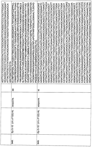 Pscaxcd3, cd19xcd3, c-metxcd3, эндосиалинxcd3, epcamxcd3, igf-1rxcd3 или fap-альфаxcd3 биспецифическое одноцепочечное антитело с межвидовой специфичностью (патент 2547600)