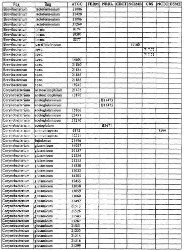 Гены corynebacterium glutamicum, кодирующие белки, участвующие в синтезе мембран и мембранном транспорте (патент 2312145)