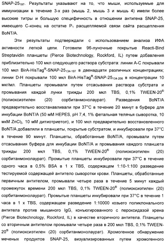 Иммунологические анализы активности ботулинического токсина серотипа а (патент 2491293)