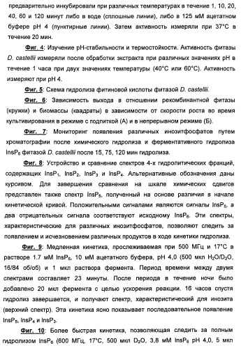 Фитаза debaryomyces castellii (патент 2421519)