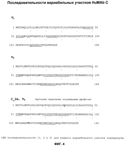 Rg1 антитела и их применение (патент 2377252)