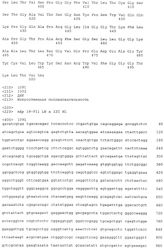 Pscaxcd3, cd19xcd3, c-metxcd3, эндосиалинxcd3, epcamxcd3, igf-1rxcd3 или fap-альфаxcd3 биспецифическое одноцепочечное антитело с межвидовой специфичностью (патент 2547600)