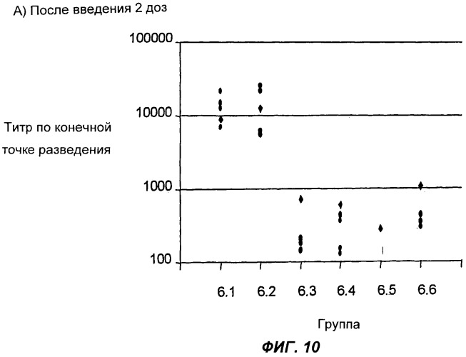 Способ усиления иммунного ответа при вакцинации нуклеиновой кислотой (патент 2311911)