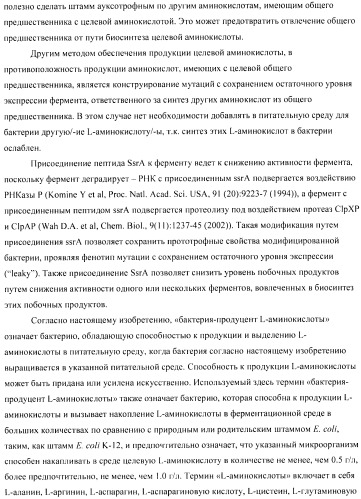 Способ получения аминокислот с использованием бактерии, принадлежащей к роду escherichia (патент 2396336)