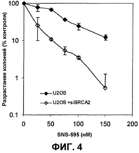Способы применения sns-595 для лечения субъектов с онкологическими заболеваниями, имеющих сниженную активность brca2 (патент 2558835)
