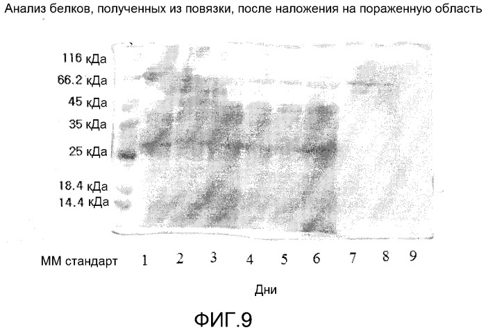 Повязка для лечения кожных заболеваний и облегчения симптомов кожных болезней, вызывающих экссудацию белков крови (патент 2524628)