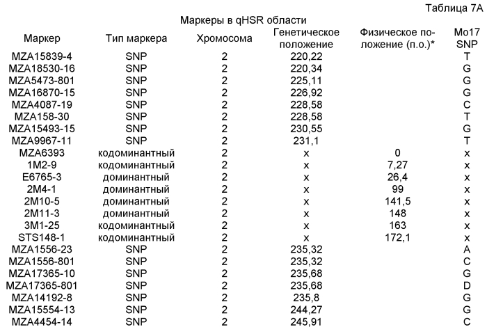 Генетические локусы, связанные с устойчивостью к пыльной головне у маиса (патент 2562864)