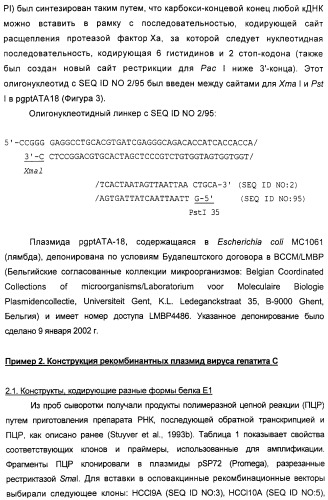 Очищенные оболочечные белки вируса гепатита с для диагностического и терапевтического применения (патент 2319505)