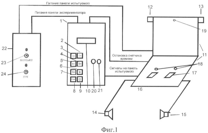 Способ изучения перцептивных звеньев в структуре функциональных систем, реализующих процессы внимания (патент 2421134)