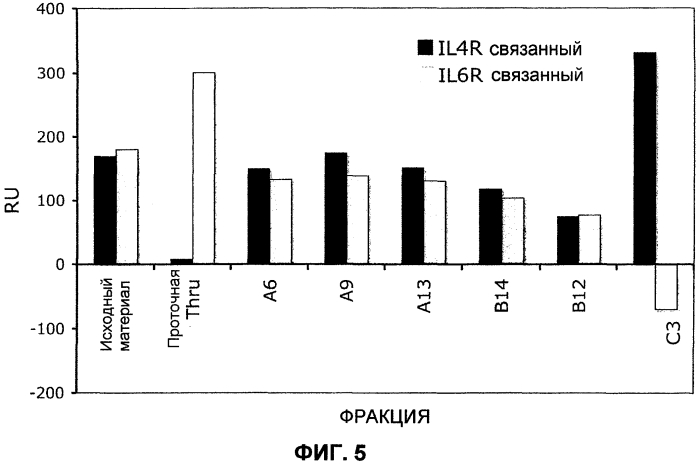 Легковыделяемые биспецифические антитела с природным иммуноглобулиновым форматом (патент 2569157)