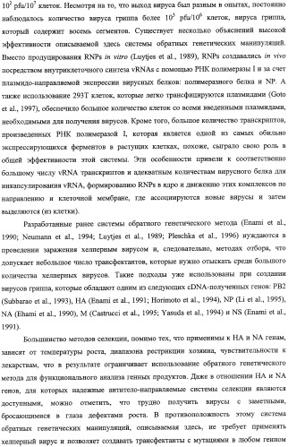 Выделенный рекомбинантный вирус гриппа и способы его получения (патент 2351651)