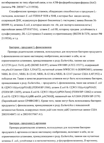 Способ получения l-аминокислот с использованием бактерии, принадлежащей к роду escherichia (патент 2312893)