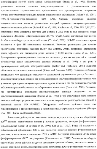 Получение поликетидов и других природных продуктов (патент 2430922)