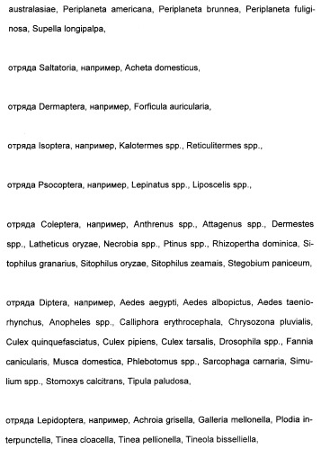 Цис-алкоксизамещенные спироциклические производные 1-h- пирролидин-2, 4-диона в качестве средств защиты от вредителей (патент 2340601)