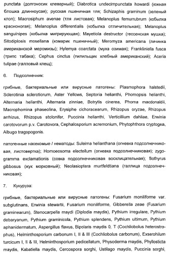 Способ повышения стойкости к стрессовым факторам в растениях (патент 2375452)