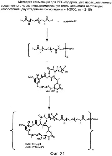 Высокоэффективные конъюгаты и гидрофильные сшивающие агенты (линкеры) (патент 2487877)