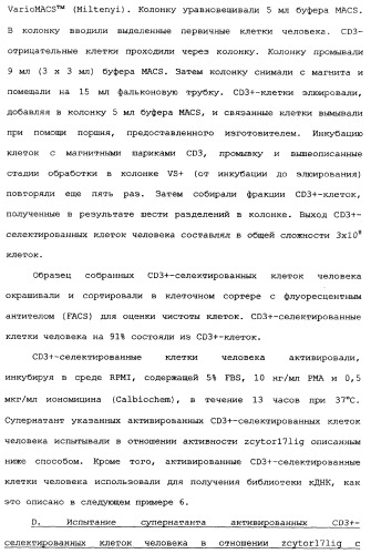 Новый лиганд рецептора цитокина zcytor17 (патент 2360923)