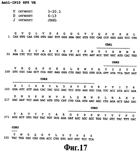Выделенное антитело против ip-10, иммуноконъюгат и биспецифическая молекула на его основе, их композиции, способ лечения (варианты), кодирующая молекула нуклеиновой кислоты, соответствующий экспрессионный вектор, клетка-хозяин и гибридома (патент 2486199)