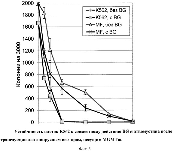Способ селекции клеток in vivo с помощью лизомустина (патент 2425149)