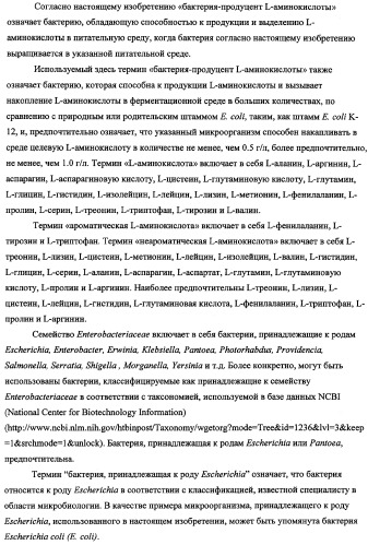 Способ получения l-треонина с использованием бактерии, принадлежащей к роду escherichia, в которой инактивирован оперон rspab (патент 2337961)